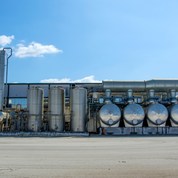 Sem nome (384 x 131 px) (384 x 131 px) (384 x 131 px) (384 x 131 px) (384 x 131 px) (384 x 131 px) (384 x 131 px) (Site) (1)